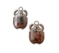 Silver Beetle Charm