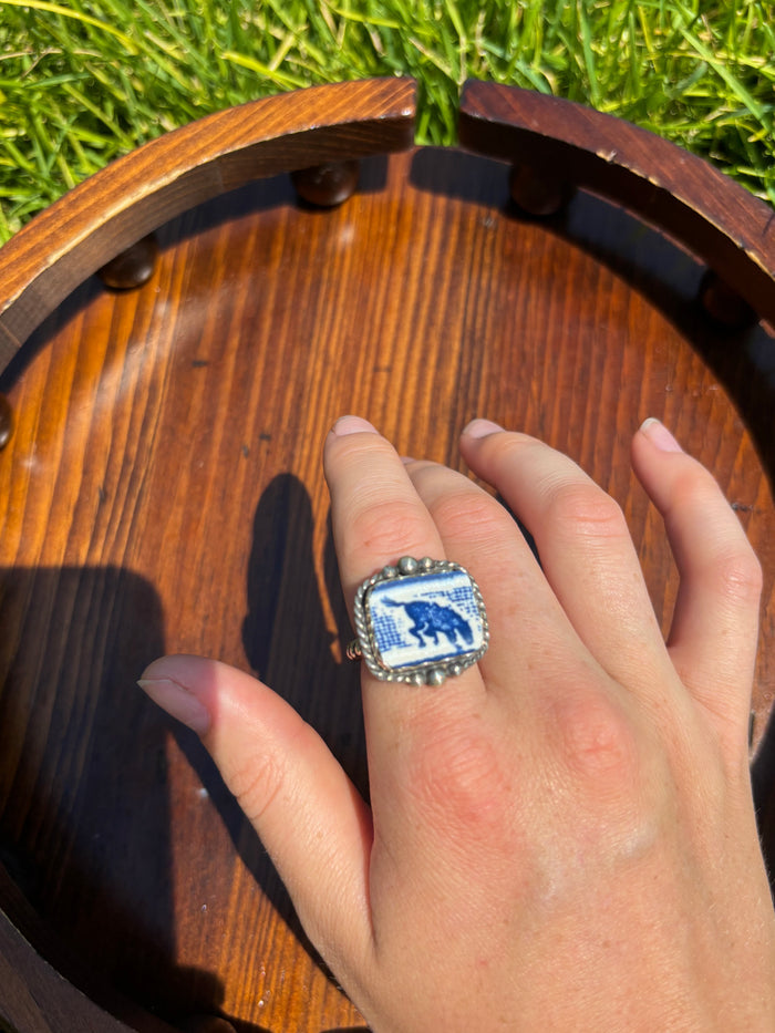 The Bronc Ring